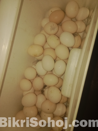 ফাউমির বিজ ডিম